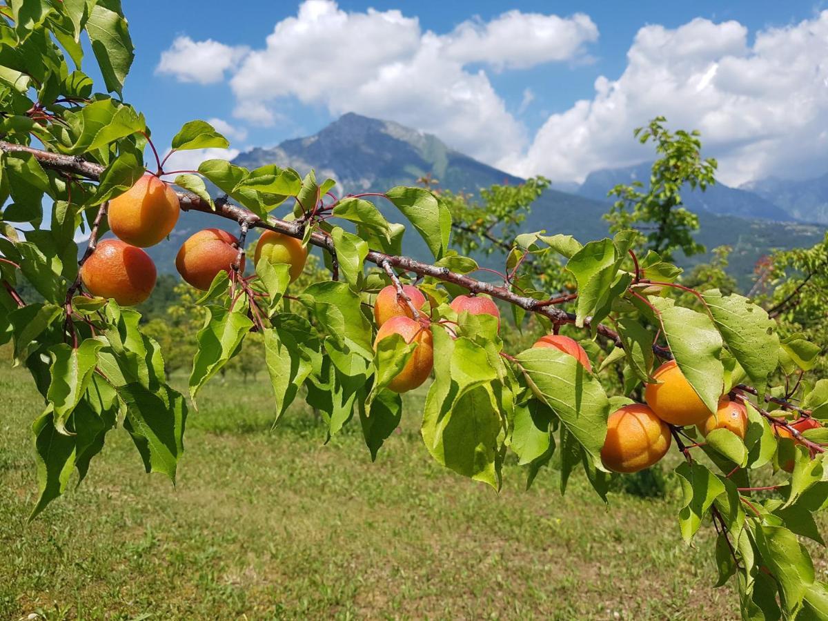 Agriturismo La Giasena Bed & Breakfast Ponte nell'Alpi Exterior photo