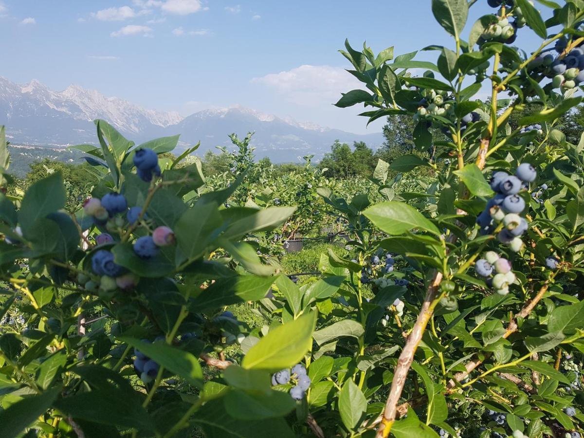 Agriturismo La Giasena Bed & Breakfast Ponte nell'Alpi Exterior photo