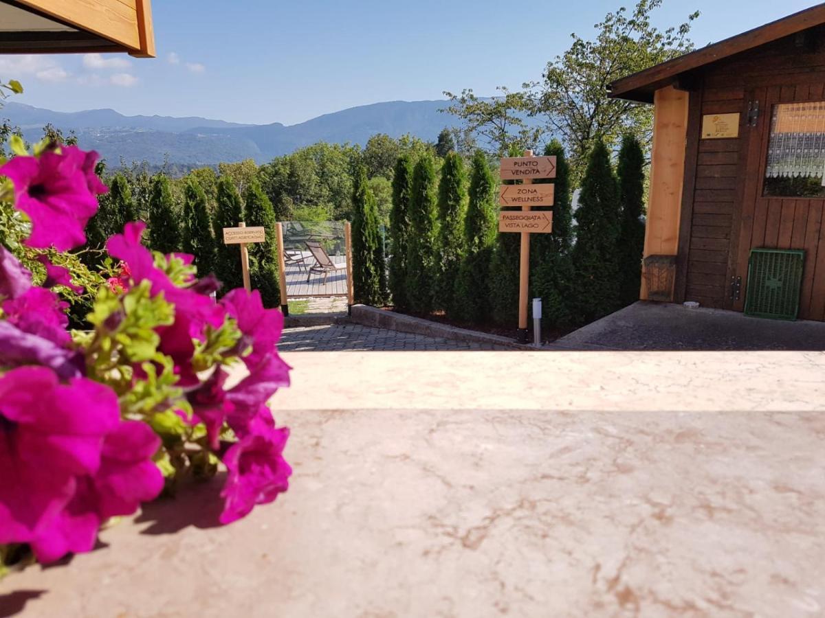 Agriturismo La Giasena Bed & Breakfast Ponte nell'Alpi Exterior photo